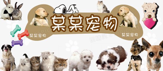 okex安装包