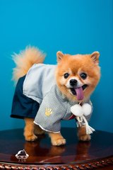 Trezor钱包app官网下载