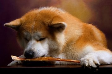 tokenpocket无法下载