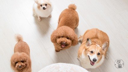 im钱包下载方法