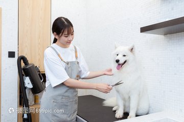 tokenpocket钱包怎么搜a
