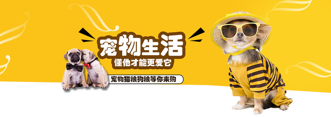 tokenpocket怎么体现到支付宝