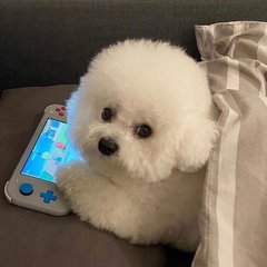 tp钱包安卓4.0