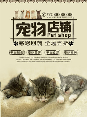 TRX手机钱包app下载