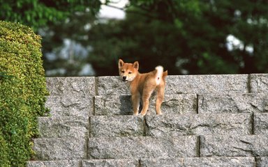 TP钱包安卓下载安装教程