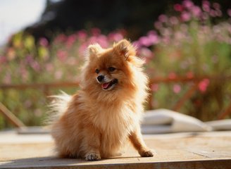 tokenpocket钱包里的钱怎么提现