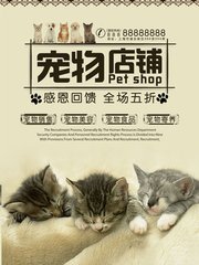 imtoken安卓版官网百度